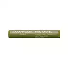 Pastela olejna Caran d’Ache NeoPastel, kolor 039 Olive Brown