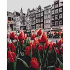 Malowanie po numerach BRUSHME, 40x50 cm, tulipany Amsterdamu