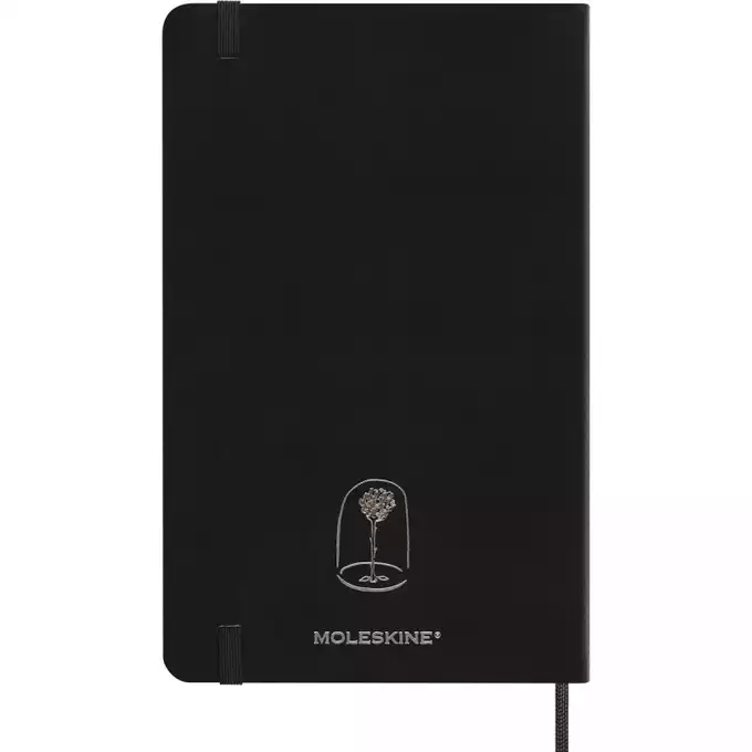 Notes MOLESKINE Pro Mały Książę, L, w linie, edycja limitowana, w pudełku