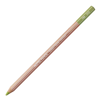 Kredka pastelowa Pastel Pencils Caran d'Ache, kolor 243 Light Olive 20%