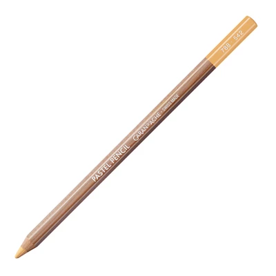 Kredka pastelowa Pastel Pencils Caran d'Ache, kolor 542 Light Flesh 10%