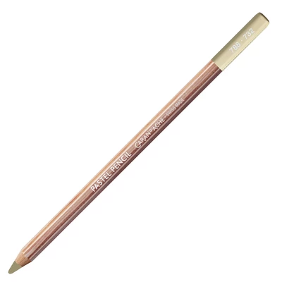 Kredka pastelowa Pastel Pencils Caran d'Ache, kolor 732 Brown Olive 10%