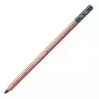 Kredka pastelowa Pastel Pencils Caran d'Ache, kolor 008 Greyish Black