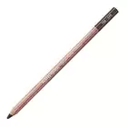 Kredka pastelowa Pastel Pencils Caran d'Ache, kolor 046 Cassel Earth