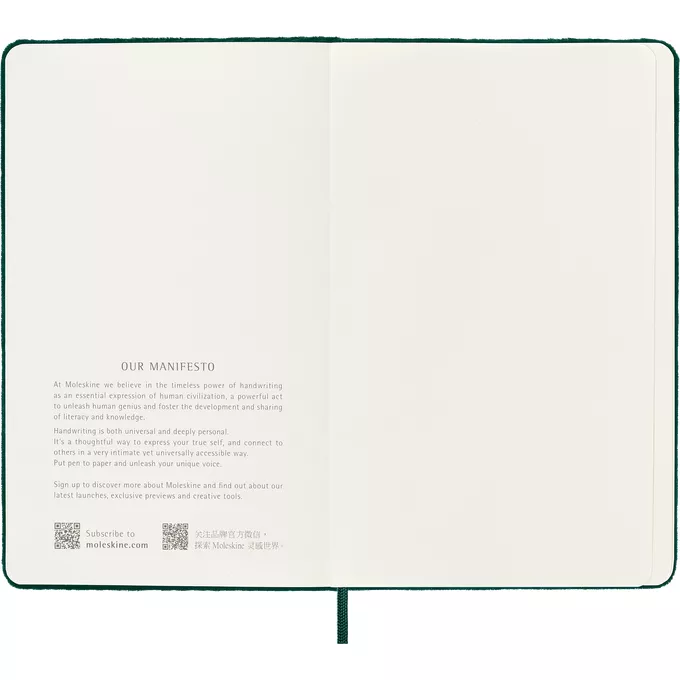 Notatnik Moleskine Large 13 × 21 cm, edycja limitowana Velvet, 176 stron w linie, zielony